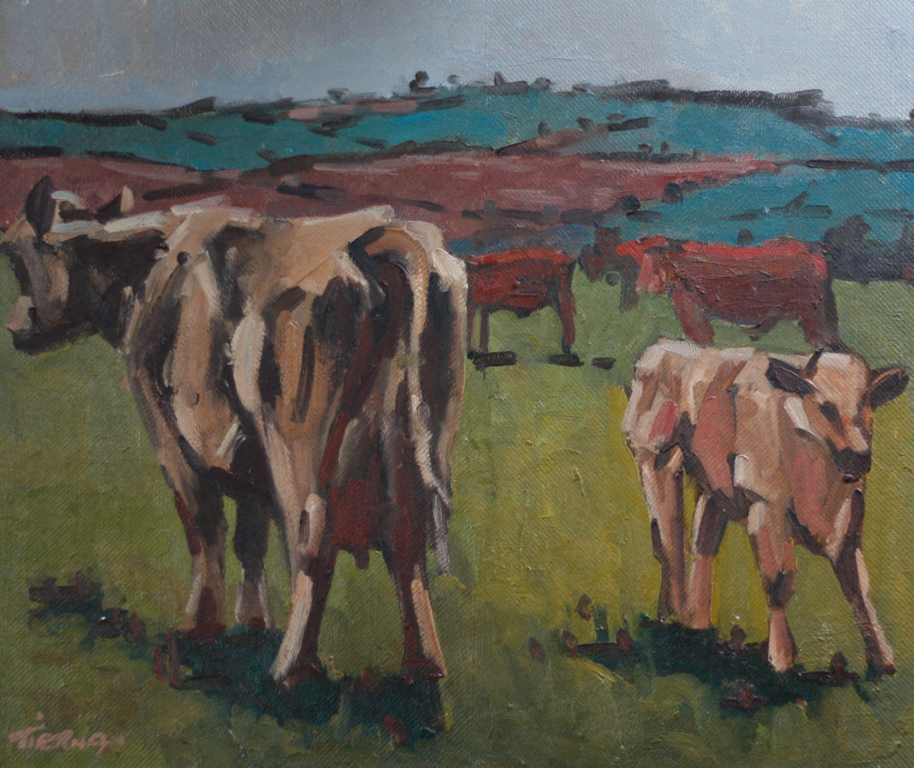 Brown Cows and Calf
